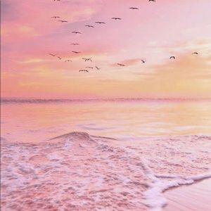 Meet your Posher, Kaylah